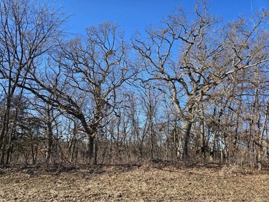 Galena Lake Lot For Sale in Galena Illinois