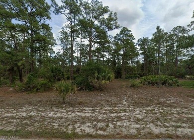 Lehigh Acres Area Lot For Sale in Lehigh Acres Florida
