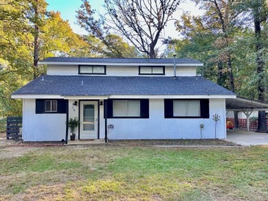 Lake Home For Sale in Shelbyville, Texas