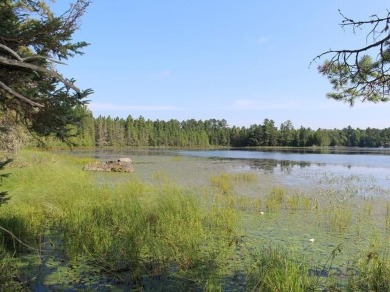 Lake Acreage For Sale in Watersmeet, Michigan