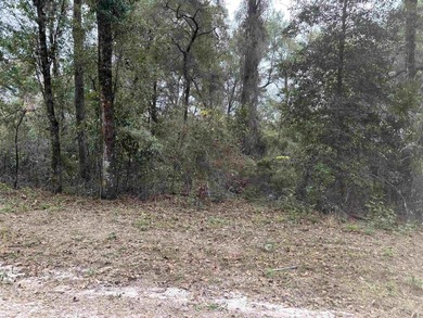 Nice lot in Wakulla Gardens. Wooded but high and dry not in - photo 3