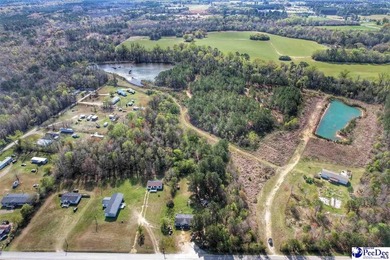 (private lake, pond, coastal) Acreage For Sale in Dillon South Carolina