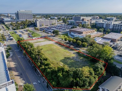Land Development opportunity located in City of Wilmington's - photo 15