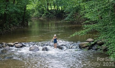 An extraordinary opportunity to own one of the Triad region's - photo 18
