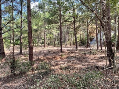 BUILDABLE lot just over half an acre in Hilltop Lakes. The - photo 1