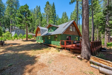 Fly In Acres Lake Home For Sale in Arnold California