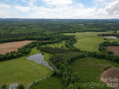 An extraordinary opportunity to own one of the Triad region's - photo 41