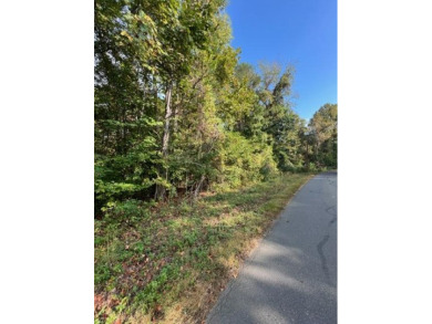 Lake Lot For Sale in Baneberry, Tennessee
