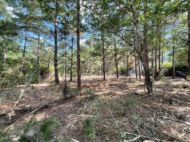 BUILDABLE lot just over half an acre in Hilltop Lakes. The - photo 2