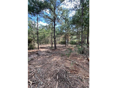 BUILDABLE lot just over half an acre in Hilltop Lakes. The - photo 3
