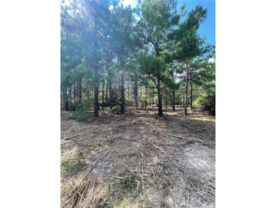 BUILDABLE lot just over half an acre in Hilltop Lakes. The - photo 4