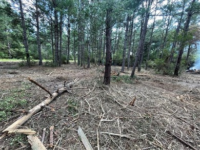 BUILDABLE lot just over half an acre in Hilltop Lakes. The - photo 5