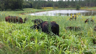 An extraordinary opportunity to own one of the Triad region's - photo 45