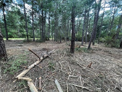 BUILDABLE lot just over half an acre in Hilltop Lakes. The - photo 6