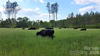 An extraordinary opportunity to own one of the Triad region's - photo 46