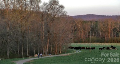 An extraordinary opportunity to own one of the Triad region's - photo 48