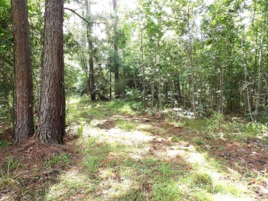 Lake Acreage For Sale in Kennard, Texas
