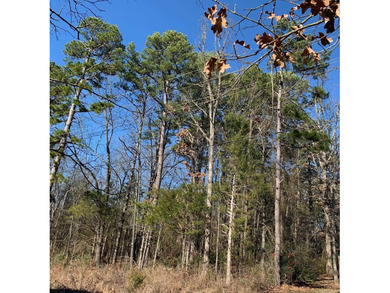 Greers Ferry Lake Lot For Sale in Heber Springs Arkansas