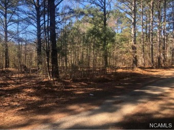 Lewis Smith Lake Lot For Sale in Cullman Alabama