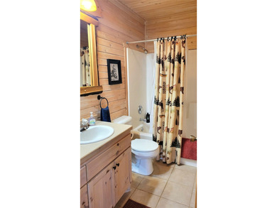 SO much to enjoy here! Level, sandy lakeshore, south facing - photo 9