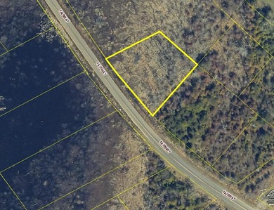 Great LAKE VIEW LOT of PORTAGE LAKE that channels out to LAKE - photo 3