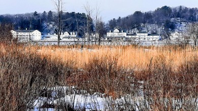 Great LAKE VIEW LOT of PORTAGE LAKE that channels out to LAKE - photo 8