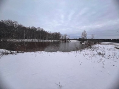 (private lake, pond, creek) Acreage For Sale in Remington Wisconsin