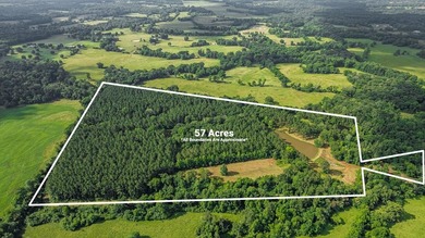 (private lake, pond, creek) Acreage For Sale in Nacogdoches Texas