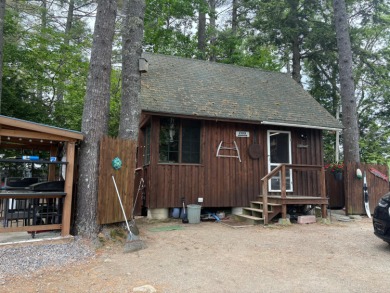 Lake Home For Sale in Somerville, Maine