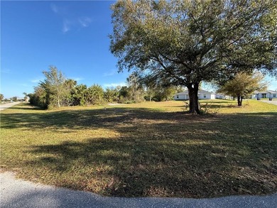 Lehigh Acres Area Lot Sale Pending in Fort Myers Florida
