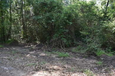 Lake Lot For Sale in Frankston, Texas