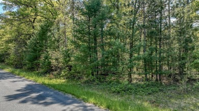 Rock Dam Lake Acreage For Sale in Willard Wisconsin
