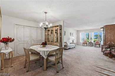 This ground-floor 2-bedroom, 2-bathroom condo is fully furnished - photo 16