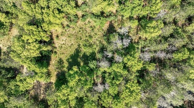 Nestled in a great location for ATV and UTV enthusiasts, this - photo 9