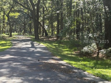 If you're a fan of Daufuskie Island, South Carolina, and dream - photo 2