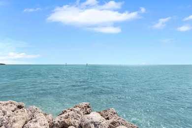 ISLAMORADA RETREAT! Whether you're looking for a full-time - photo 23