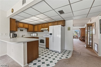 This ground-floor 2-bedroom, 2-bathroom condo is fully furnished - photo 25