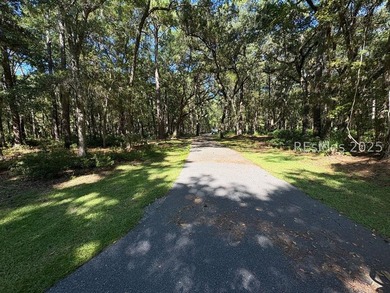 If you're a fan of Daufuskie Island, South Carolina, and dream - photo 1