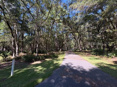 If you're a fan of Daufuskie Island, South Carolina, and dream - photo 3