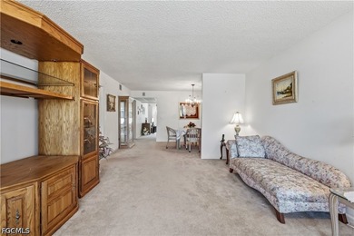 This ground-floor 2-bedroom, 2-bathroom condo is fully furnished - photo 36
