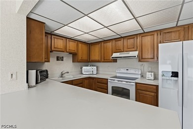 This ground-floor 2-bedroom, 2-bathroom condo is fully furnished - photo 39