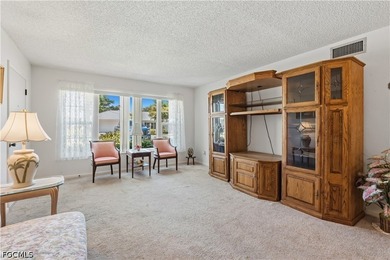 This ground-floor 2-bedroom, 2-bathroom condo is fully furnished - photo 43