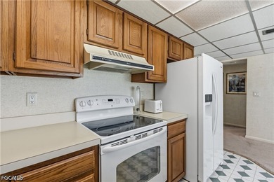 This ground-floor 2-bedroom, 2-bathroom condo is fully furnished - photo 45