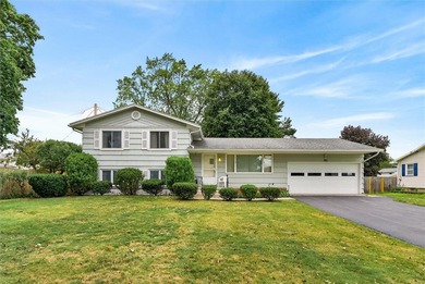 Endless potential awaits at 181 Lida Lane! This lovingly - photo 1