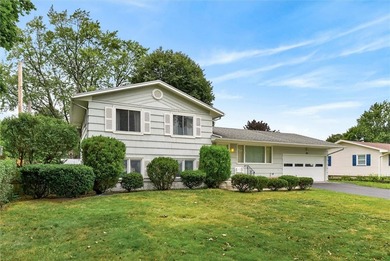 Endless potential awaits at 181 Lida Lane! This lovingly - photo 3