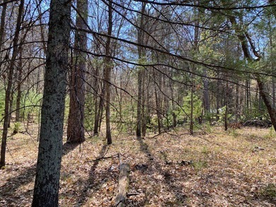 Very impressive setting on Gilmore Lake in Minong. This property - photo 14