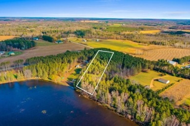 Lake Acreage For Sale in Gresham, Wisconsin