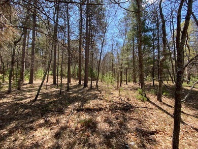 Very impressive setting on Gilmore Lake in Minong. This property - photo 21
