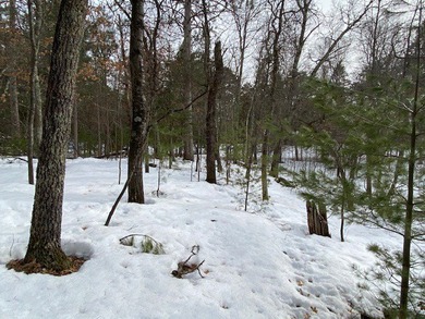 Very impressive setting on Gilmore Lake in Minong. This property - photo 29
