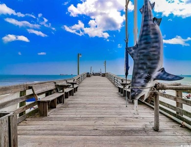 Stunning ocean views from this fully furnished 2-bedroom, 2 bath - photo 39